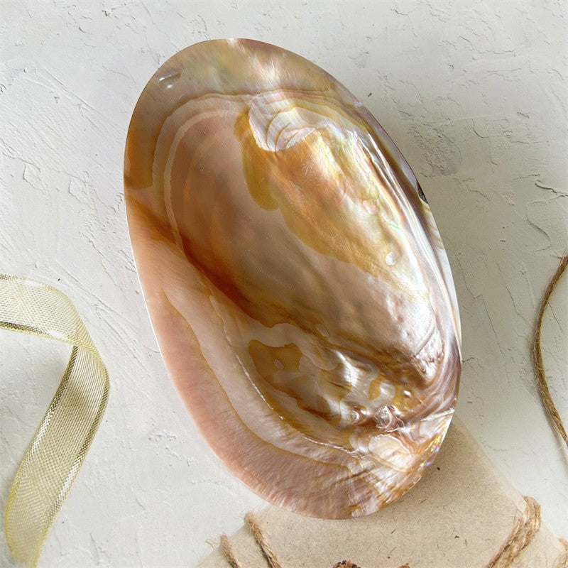 Bulk Natural Pearl Shell Decorative Plate Shell Jewelry Dish Food Plates for Home Table Decor Wholesale