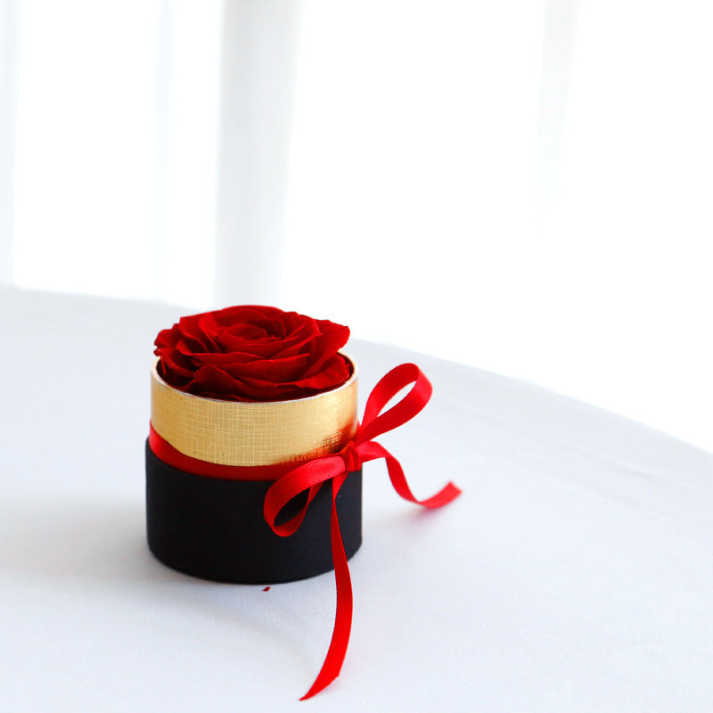 Bulk Preserved Roses in a Box Forever Flowers Gift for Women Valentine's Day Birthday Anniversary Wholesale