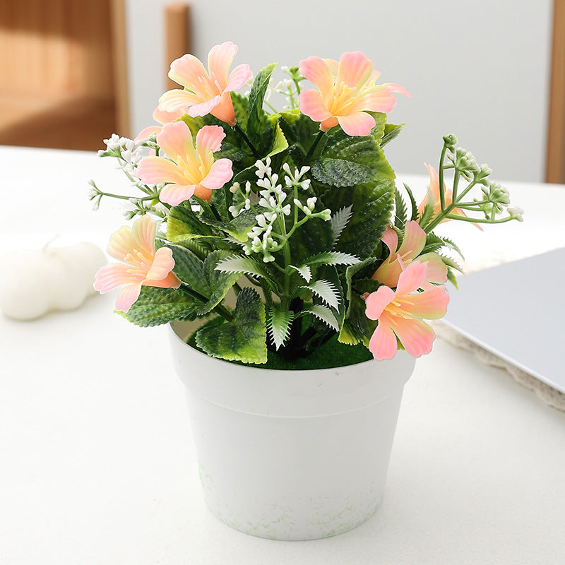 7.8-Inches Morning Glory Potted Plant for Home Decoration and adds Natural Beauty