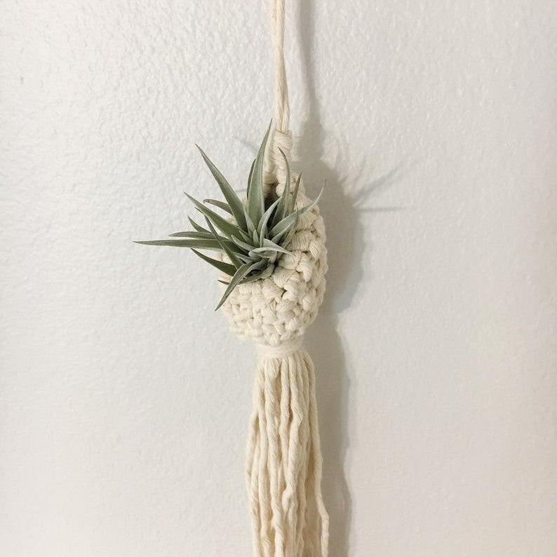 Bohemian Handwoven Air Plant Holder - Nordic Boho Wall Hanging | Ins Style Macramé Pouch