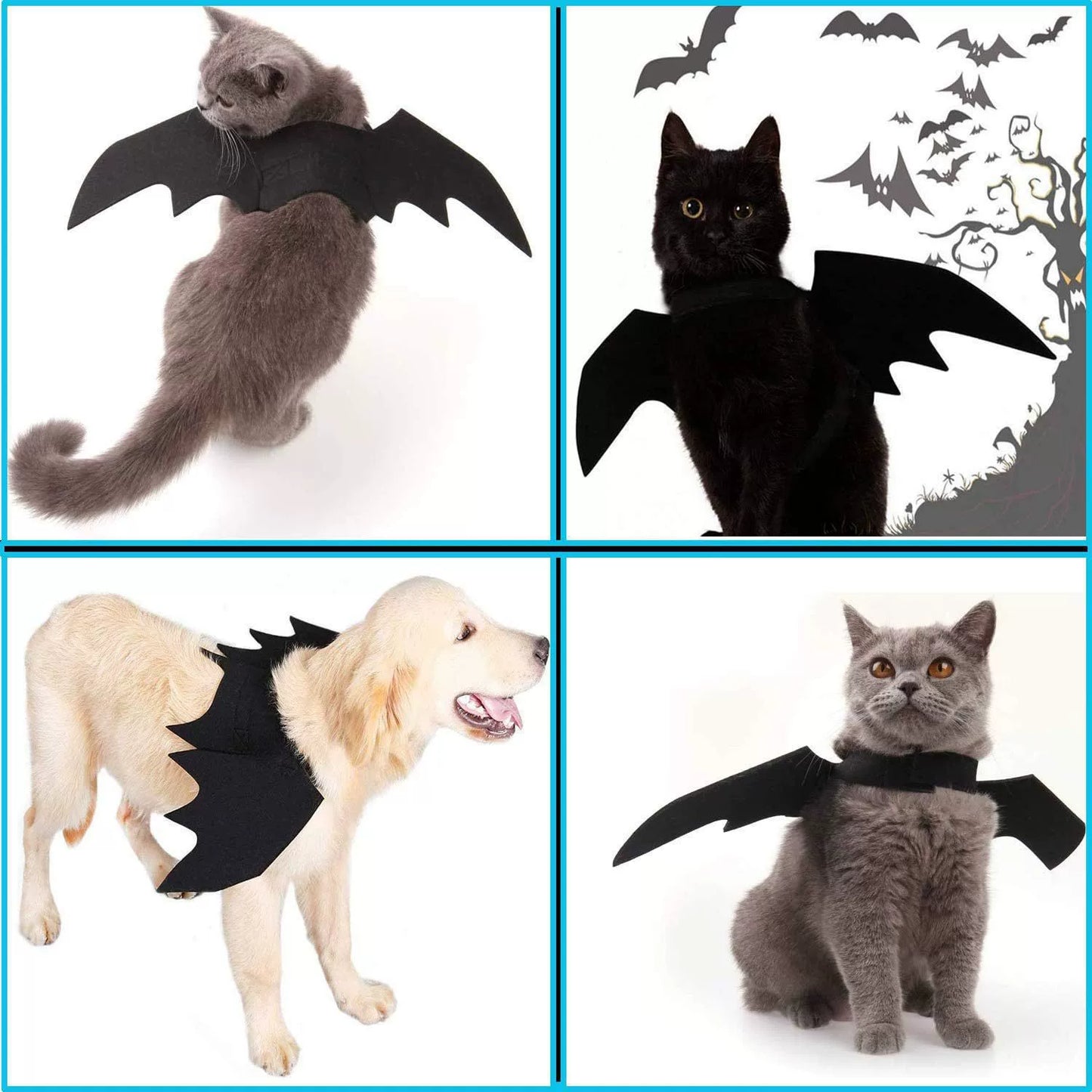 Halloween Bat Wings Pet Costume - Cute Outfit for Cats, Dogs & Small Breeds