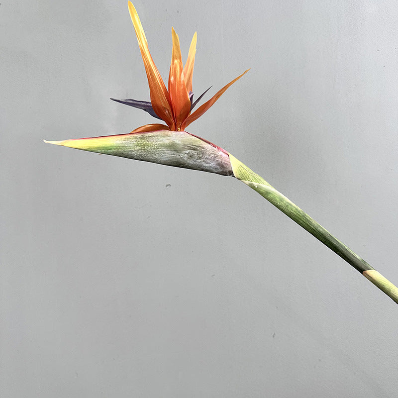Real Touch Bird of Paradise Artificial Flower - 33" Tall Faux Strelitzia for Home Decor Wedding Photo Prop