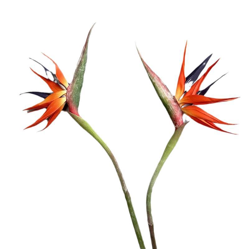 Wedding Decor Large Real Touch Artificial Bird of Paradise - Premium Photo Prop & Home Accent