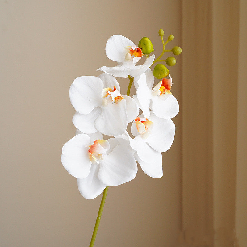 Bulk 17" Real Touch Phalaenopsis Orchid Stems Artificial Flowers for Home and Event Decor Wholesale