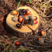 100 Pcs Mixed Artificial Acorns Natural Color Vase Filler Bulk Pack
