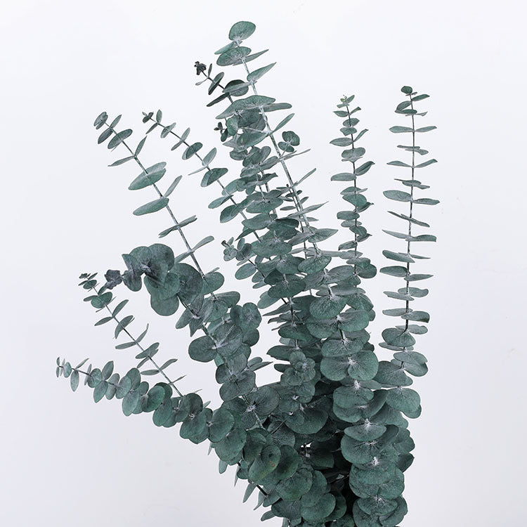 10 Pcs Preserved Dried Eucalyptus Stems Bulk Artificial Floral Greenery
