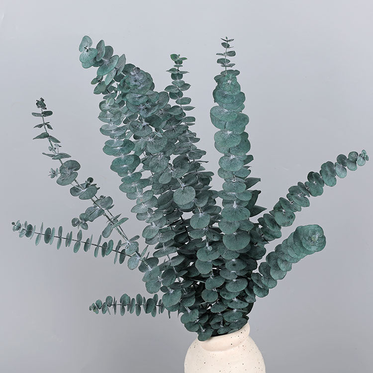10 Pcs Preserved Dried Eucalyptus Stems Bulk Artificial Floral Greenery