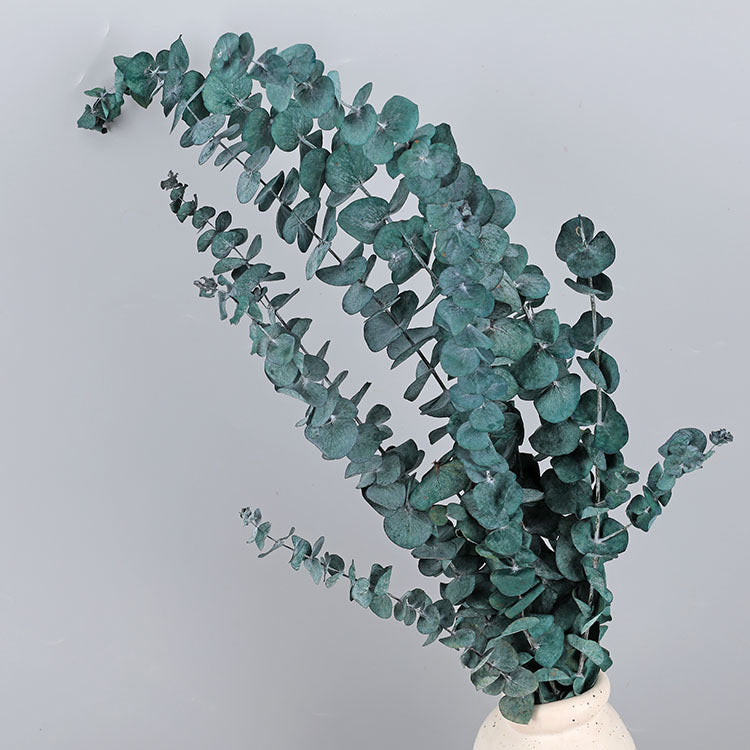 10 Pcs Preserved Dried Eucalyptus Stems Bulk Artificial Floral Greenery