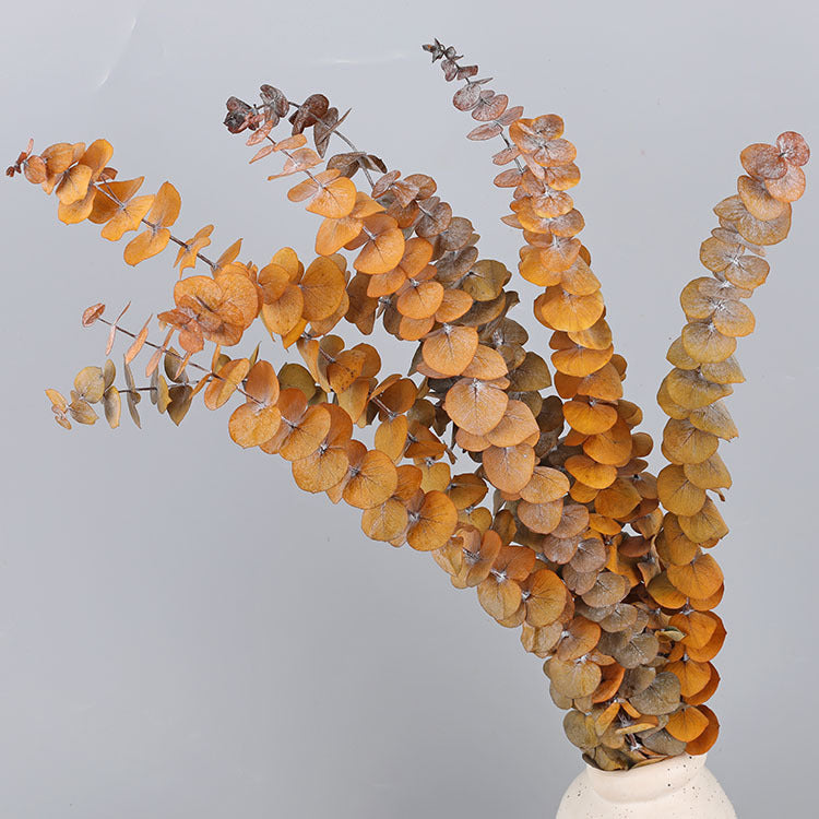 10 Pcs Preserved Dried Eucalyptus Stems Bulk Artificial Floral Greenery