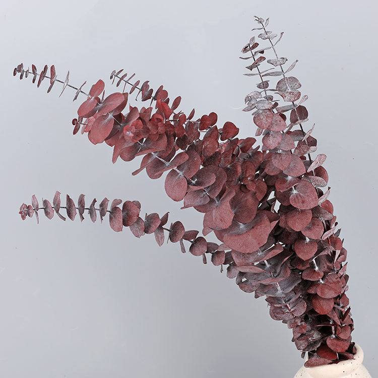 10 Pcs Preserved Dried Eucalyptus Stems Bulk Artificial Floral Greenery