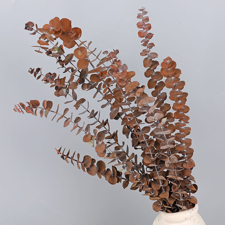 10 Pcs Preserved Dried Eucalyptus Stems Bulk Artificial Floral Greenery