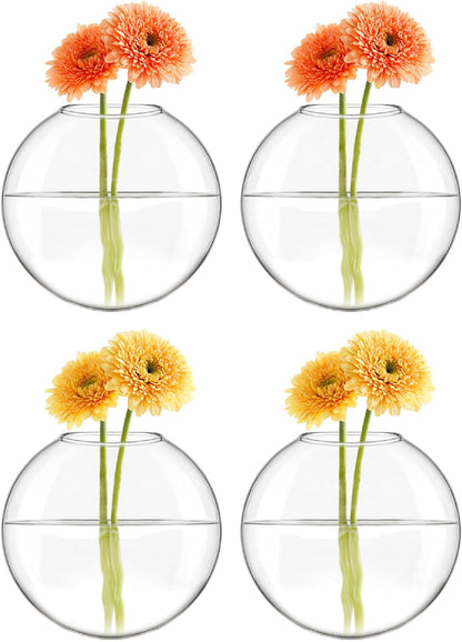 Bulk 4Pcs Wall Hanging Planter Glass Flower Vase Propagation Station for Hydroponic Bathroom Home Office Living Room Decor Wholesale