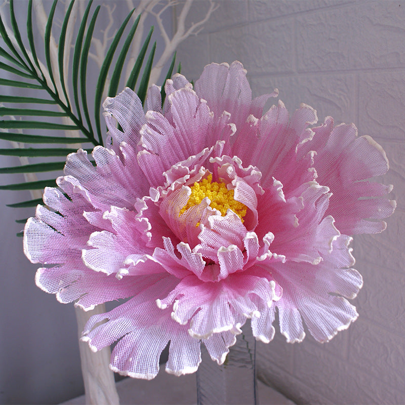 10 Pcs Extra Large Artificial Peony Flower Heads, Giant Silk Peonies for Photo Props, Bulk Wholesale