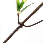 Artificial Cherry Blossom Branches 22 Inch 10 Pcs Green Silk Snow Cherry Tree Stems for Home Decor