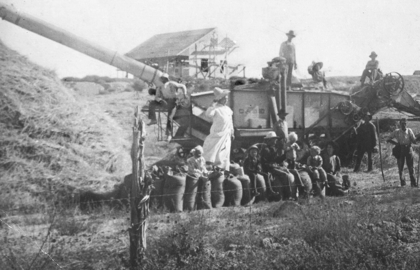 Bulk Geometric Lotus Flower Tealight Candle Holders Golden Metal Table Centerpiece Wholesale