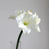 Bulk 21" Amaryllis Stems Artificial Amaryllis Flower Arrangements Wholesale