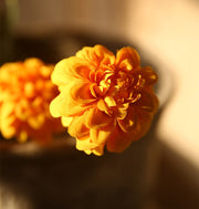 23 Inch Artificial Dahlia Stems 10 Pcs Fall Colors Silk Flowers for Arrangements
