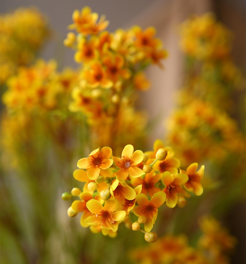 31 Inch Artificial Wax Flower Stems Chamelaucium Uncinatum Bulk Quantity