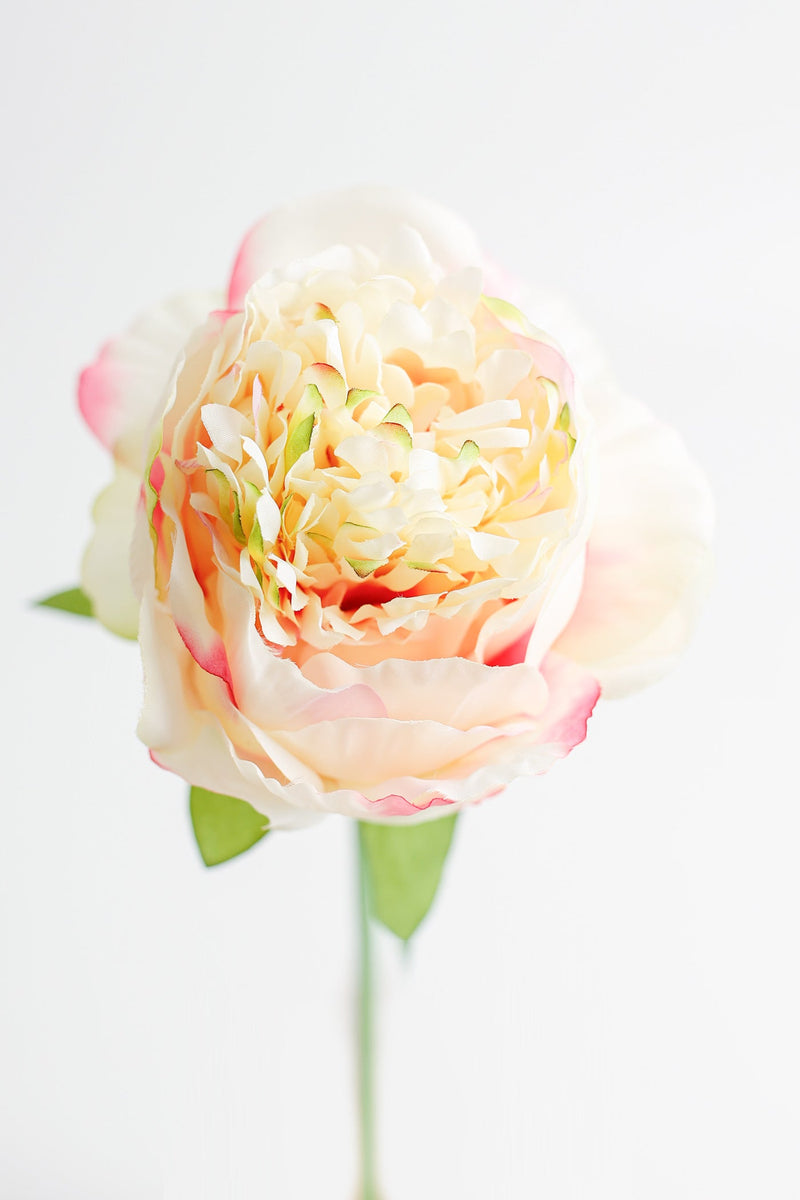 14 Inch Silk Peony Stems Artificial Flowers Bulk Quantity