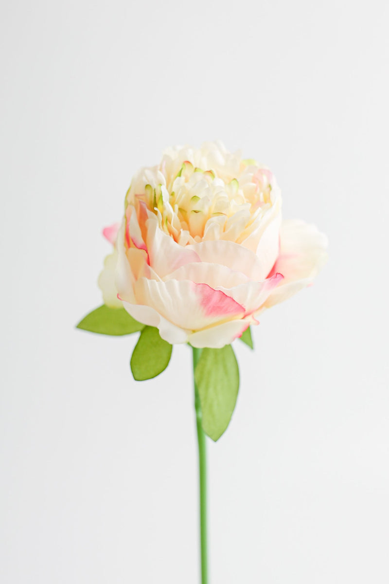 14 Inch Silk Peony Stems Artificial Flowers Bulk Quantity