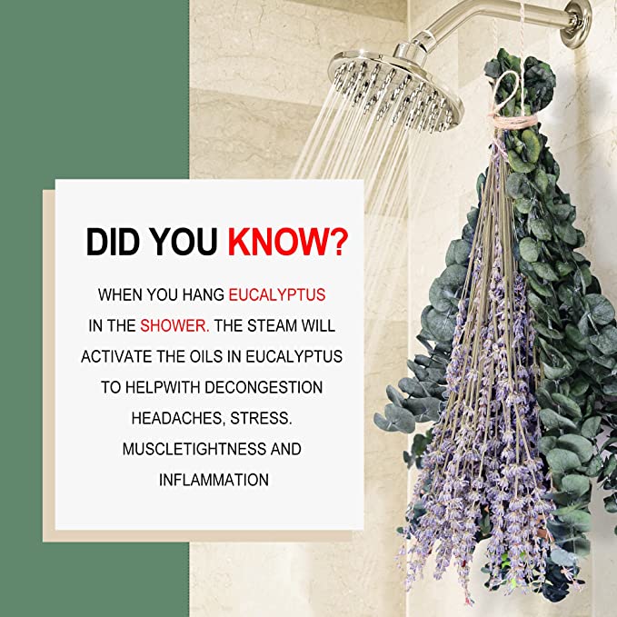 15 Pcs 17 Inch Dried Preserved Eucalyptus Stems with Lavender Flowers Bundles Artificial Floral Arrangement