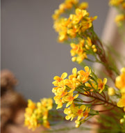 31 Inch Artificial Wax Flower Stems Chamelaucium Uncinatum Bulk Quantity