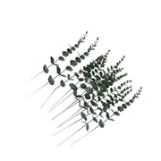 12 Pcs Artificial Eucalyptus Leaves Stems 12 Inch Real Touch Greenery for Floral Arrangement Wedding Bouquets Centerpiece