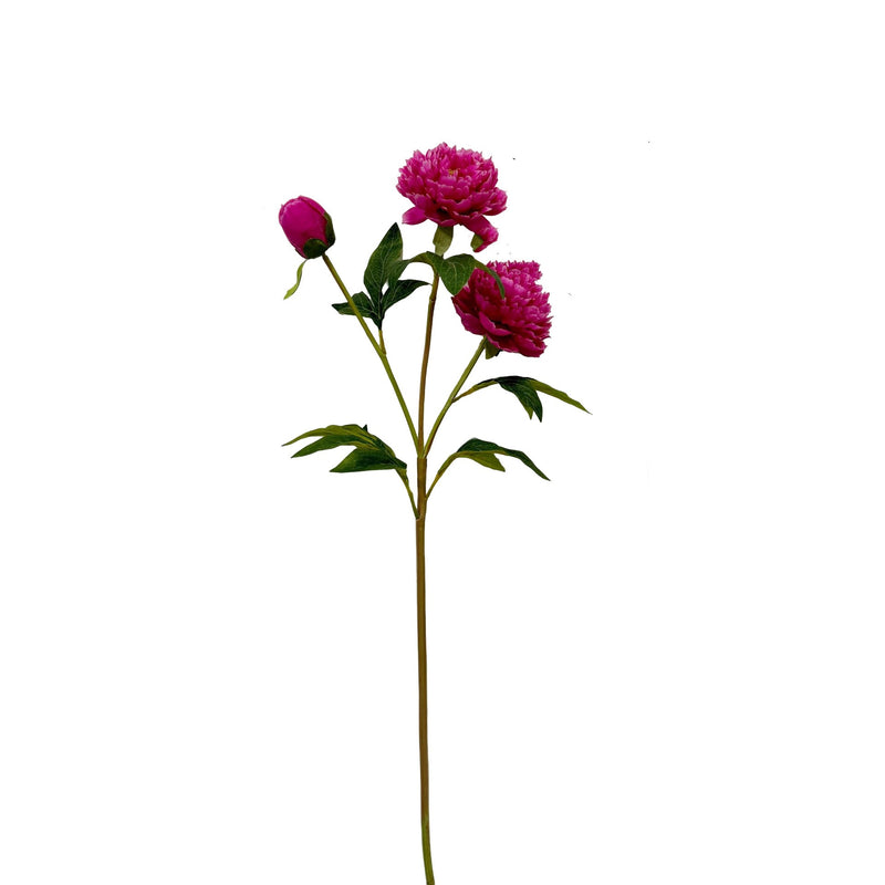 Lifelike Silk Peony Stem, 30" Tall Faux Peonies, Realistic Artificial Flowers for Wedding Bouquets, DIY Centerpieces, Home Decor Vase Filler