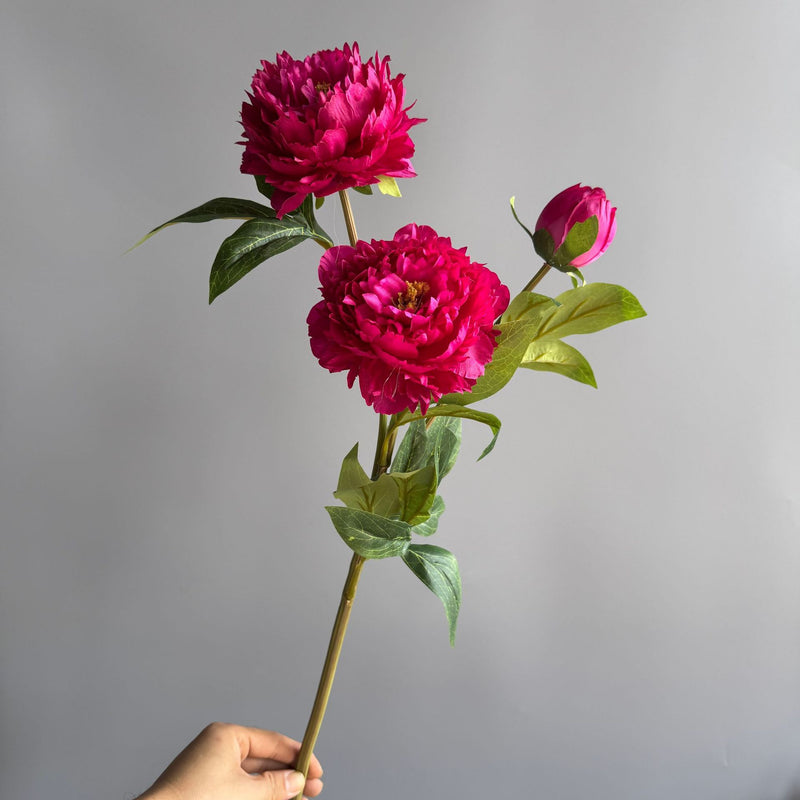 Lifelike Silk Peony Stem, 30" Tall Faux Peonies, Realistic Artificial Flowers for Wedding Bouquets, DIY Centerpieces, Home Decor Vase Filler
