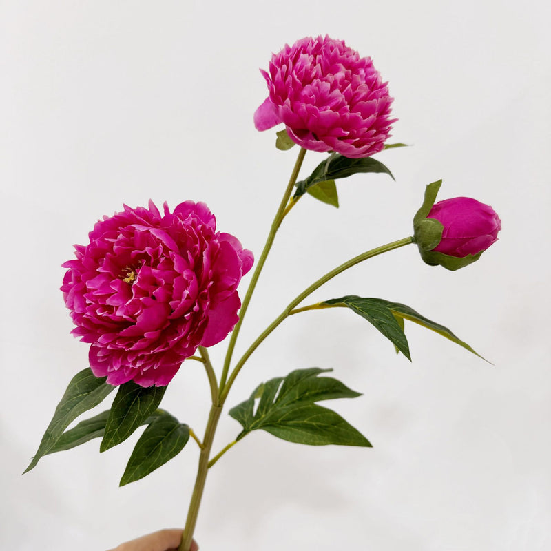 Lifelike Silk Peony Stem, 30" Tall Faux Peonies, Realistic Artificial Flowers for Wedding Bouquets, DIY Centerpieces, Home Decor Vase Filler