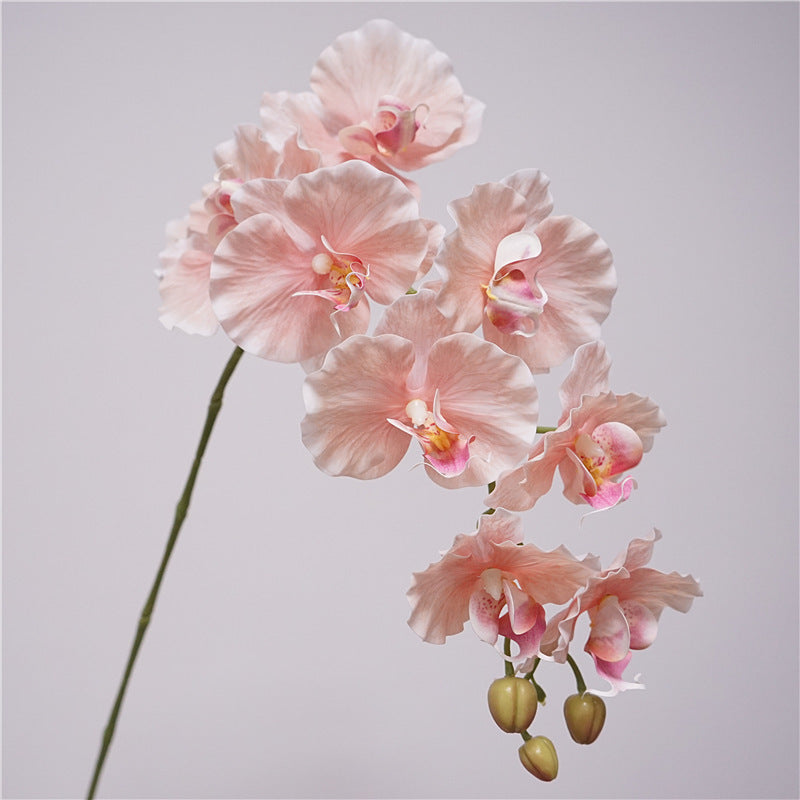Tall Phalaenopsis Orchid Stem, 39" Large 9-Head Faux Flower, Lifelike Real Touch Blooms for Wedding Centerpieces, DIY Arrangements & Home Decor