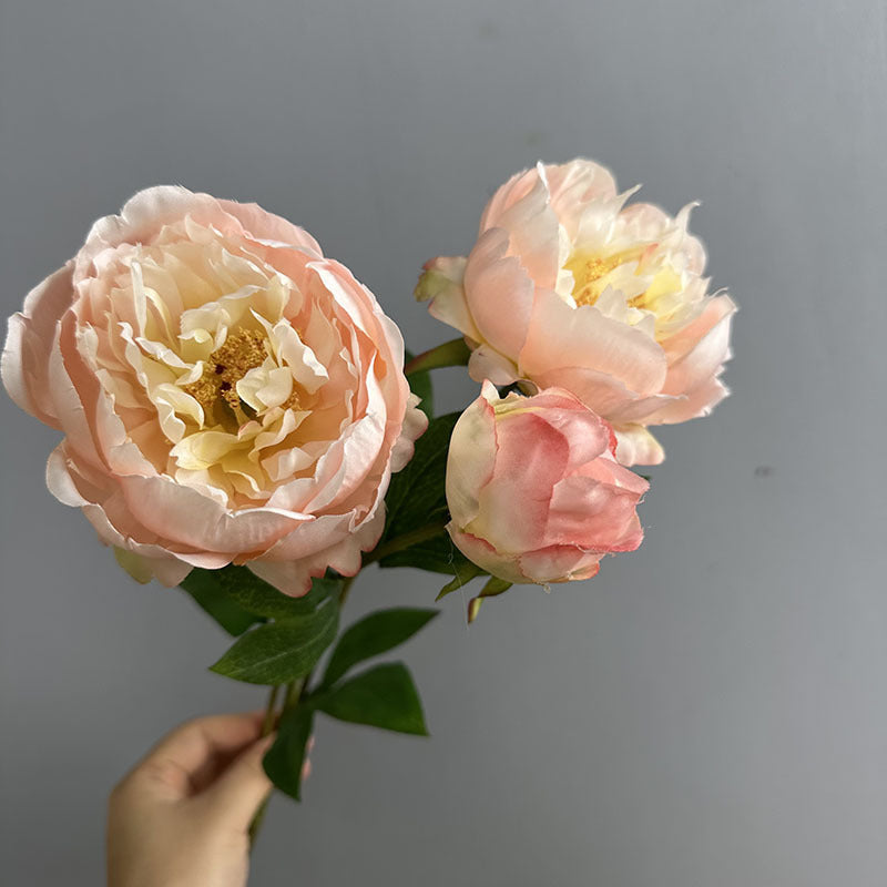 Large Peony Stems, Set of 2, 20" Realistic Faux Flowers with 2 Heads, Lush Artificial Peonies for Wedding Bouquets, DIY & Home Decor
