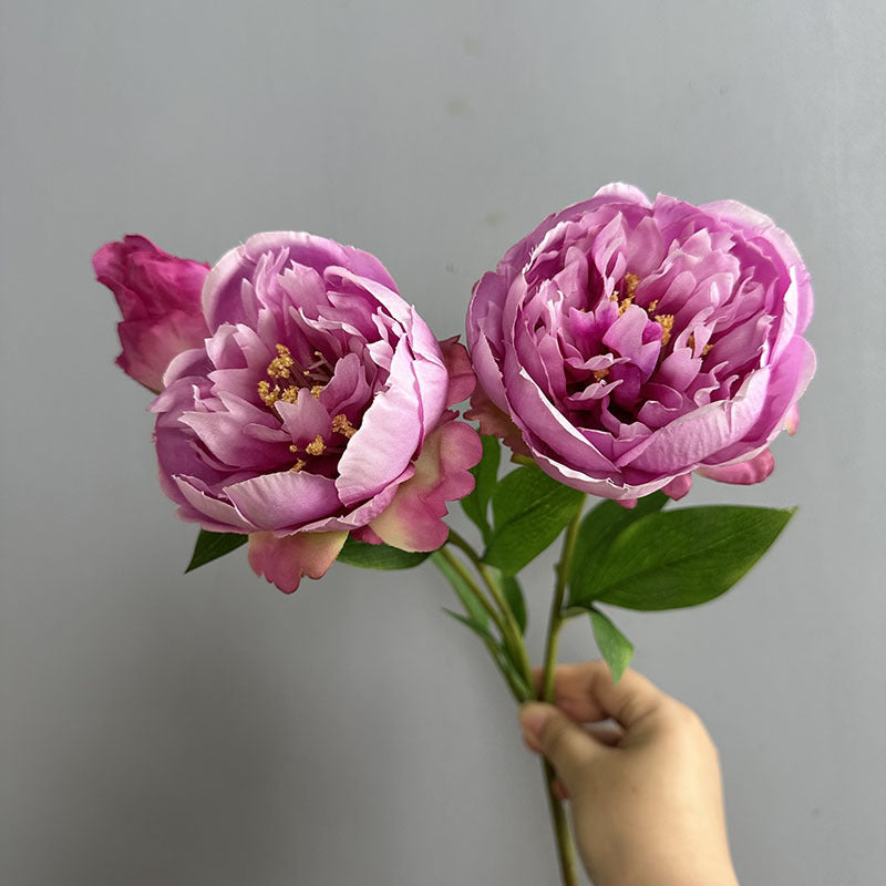 Large Peony Stems, Set of 2, 20" Realistic Faux Flowers with 2 Heads, Lush Artificial Peonies for Wedding Bouquets, DIY & Home Decor