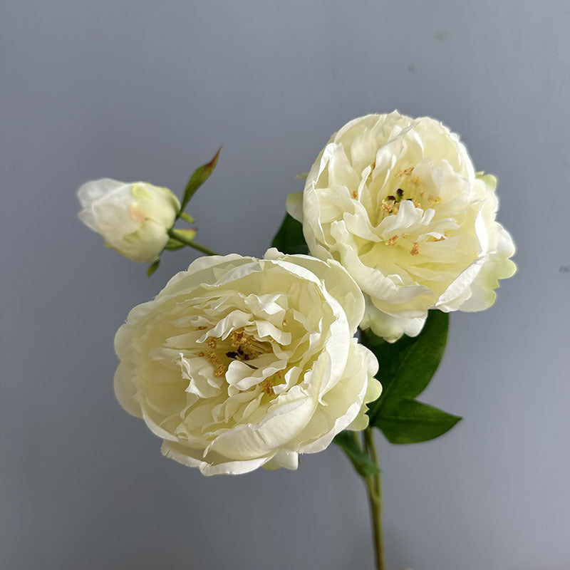 Large Peony Stems, Set of 2, 20" Realistic Faux Flowers with 2 Heads, Lush Artificial Peonies for Wedding Bouquets, DIY & Home Decor