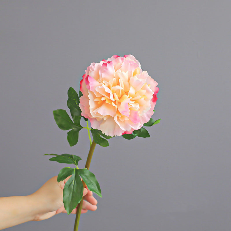 20.5" Real-Touch Peony Arrangement, Lifelike Faux Floral for Home Decor, Weddings, Events, Elegant Centerpiece