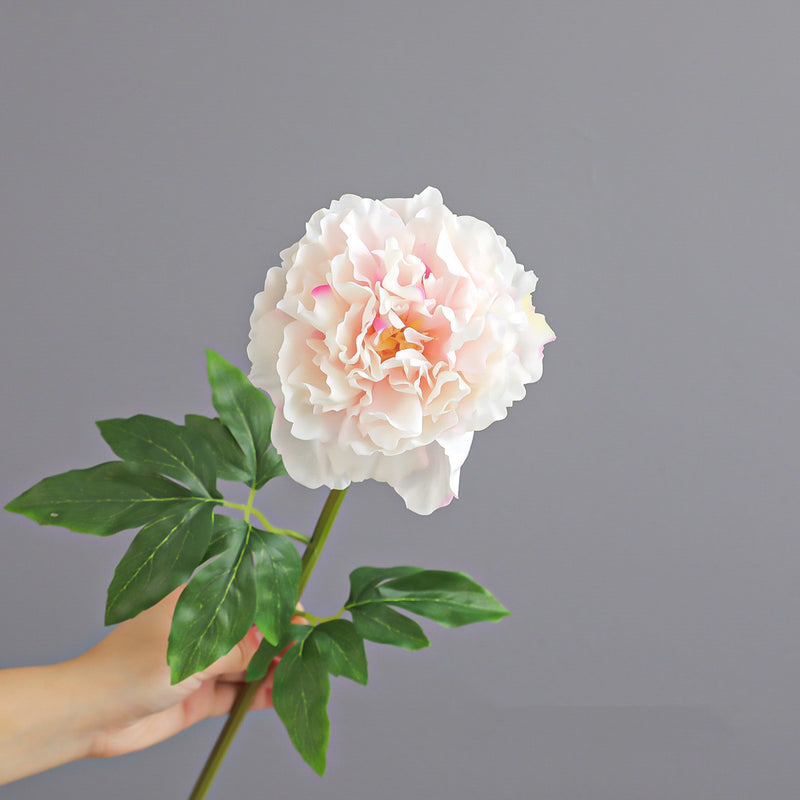 20.5" Real-Touch Peony Arrangement, Lifelike Faux Floral for Home Decor, Weddings, Events, Elegant Centerpiece