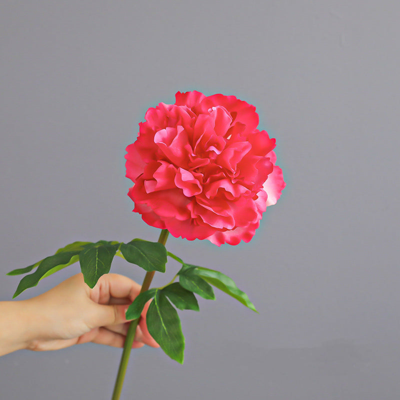 20.5" Real-Touch Peony Arrangement, Lifelike Faux Floral for Home Decor, Weddings, Events, Elegant Centerpiece