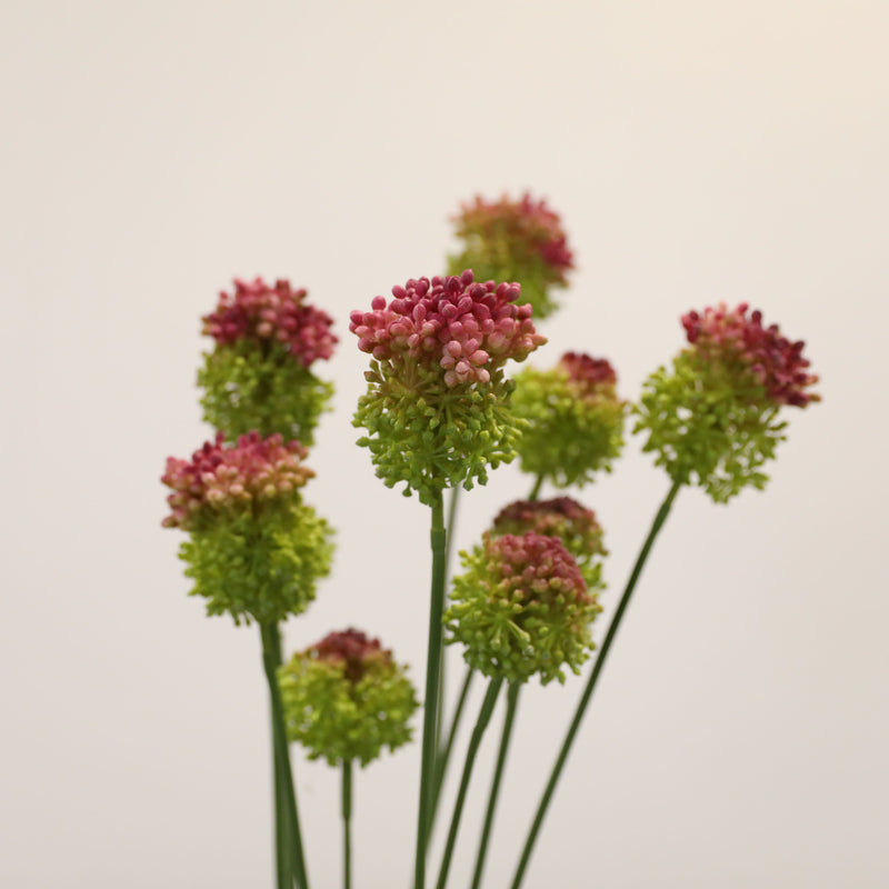 Faux Allium Stems, Set of 2, 27.5" Tall Realistic Globe Flowers, Long Stem Onion Flower for Modern Wedding Centerpieces & Minimalist Vase Decor