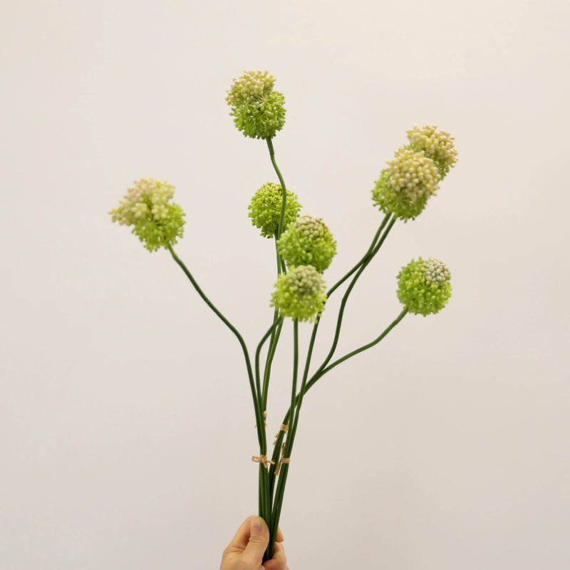 Faux Allium Stems, Set of 2, 27.5" Tall Realistic Globe Flowers, Long Stem Onion Flower for Modern Wedding Centerpieces & Minimalist Vase Decor