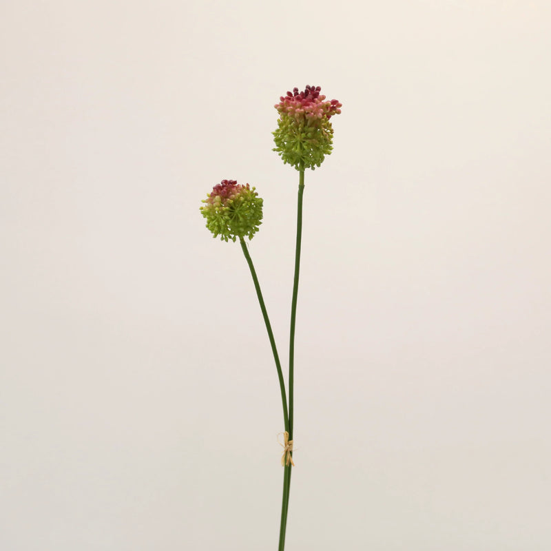 Faux Allium Stems, Set of 2, 27.5" Tall Realistic Globe Flowers, Long Stem Onion Flower for Modern Wedding Centerpieces & Minimalist Vase Decor