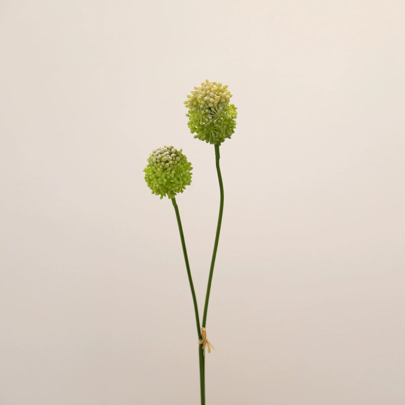 Faux Allium Stems, Set of 2, 27.5" Tall Realistic Globe Flowers, Long Stem Onion Flower for Modern Wedding Centerpieces & Minimalist Vase Decor