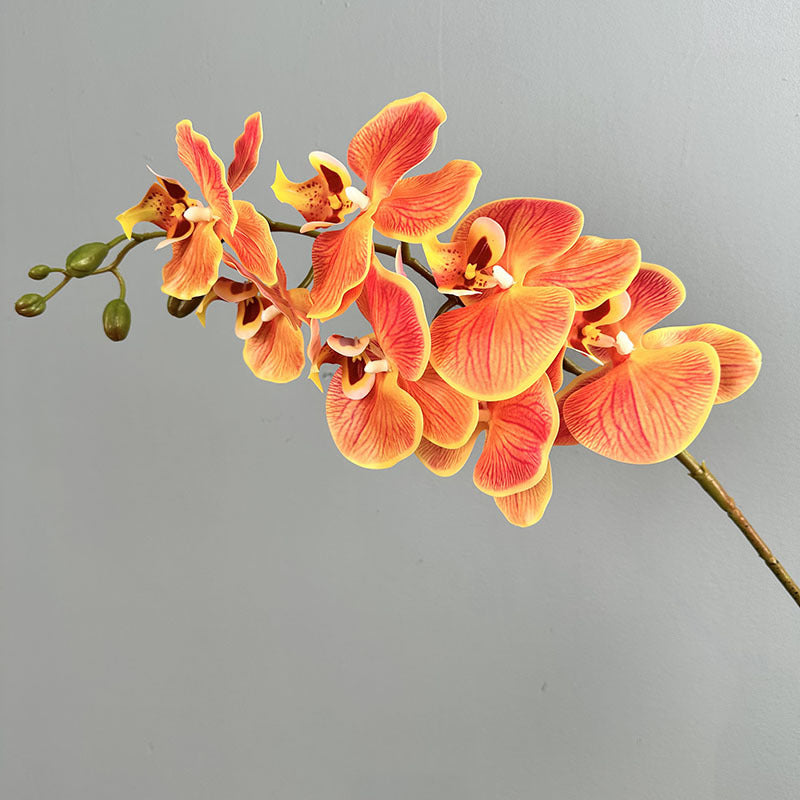 39" Real Touch Phalaenopsis Orchid Stem, Lifelike Autumn Orchid for DIY Wedding Flowers, Tall Vase Arrangements, Elegant Home & Event Decor