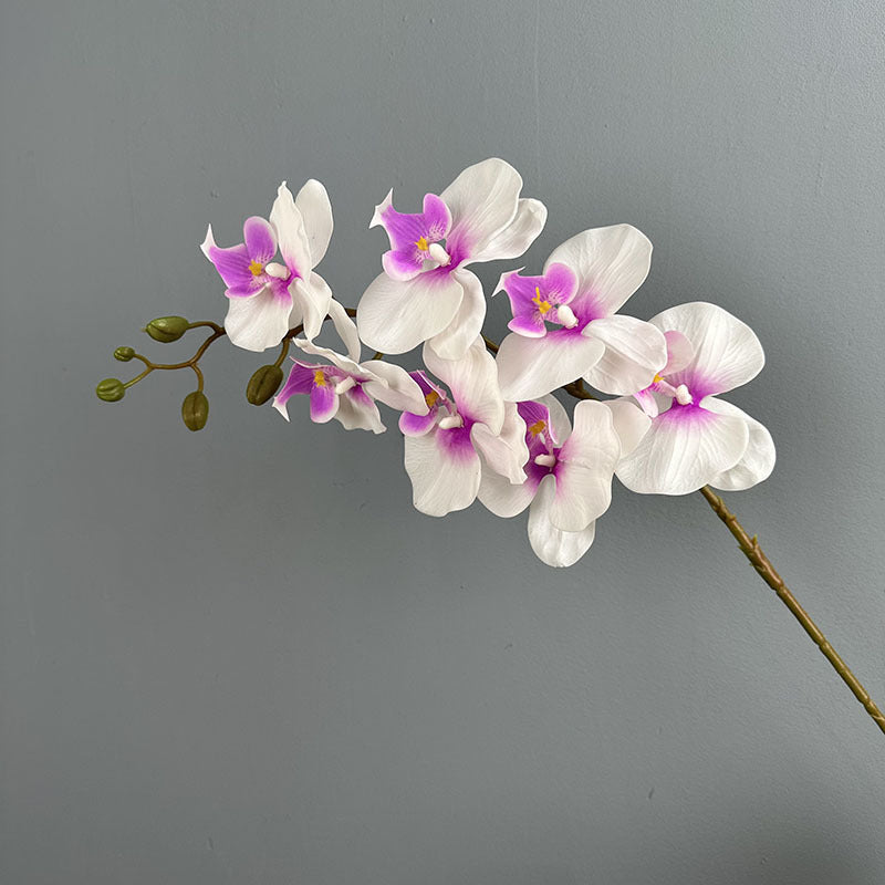 39" Real Touch Phalaenopsis Orchid Stem, Lifelike Autumn Orchid for DIY Wedding Flowers, Tall Vase Arrangements, Elegant Home & Event Decor