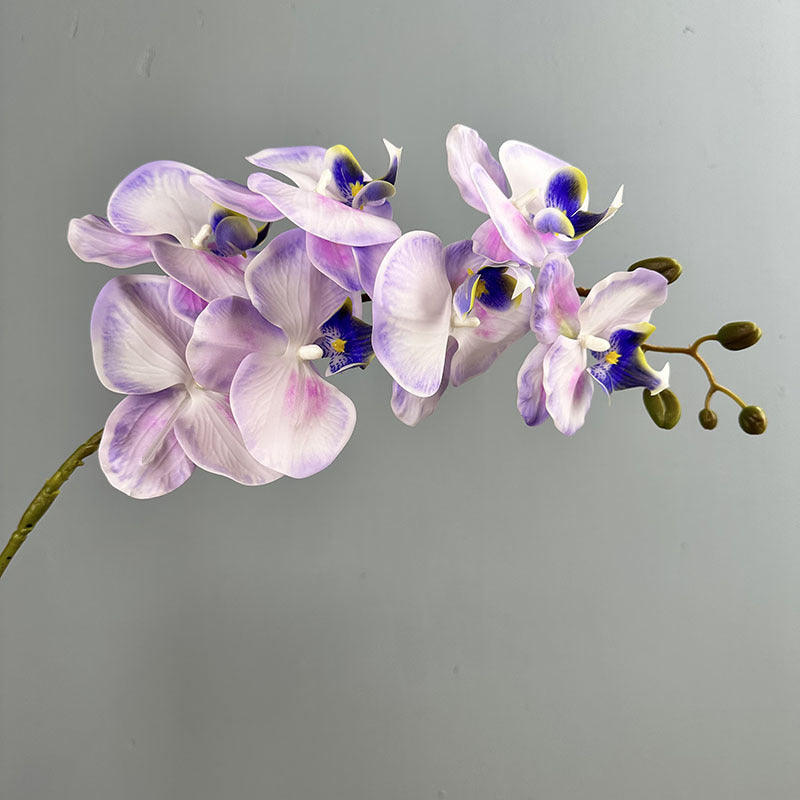 39" Real Touch Phalaenopsis Orchid Stem, Lifelike Autumn Orchid for DIY Wedding Flowers, Tall Vase Arrangements, Elegant Home & Event Decor