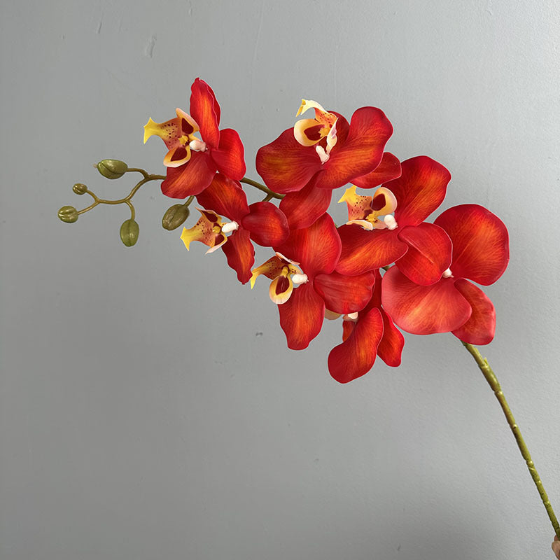 39" Real Touch Phalaenopsis Orchid Stem, Lifelike Autumn Orchid for DIY Wedding Flowers, Tall Vase Arrangements, Elegant Home & Event Decor
