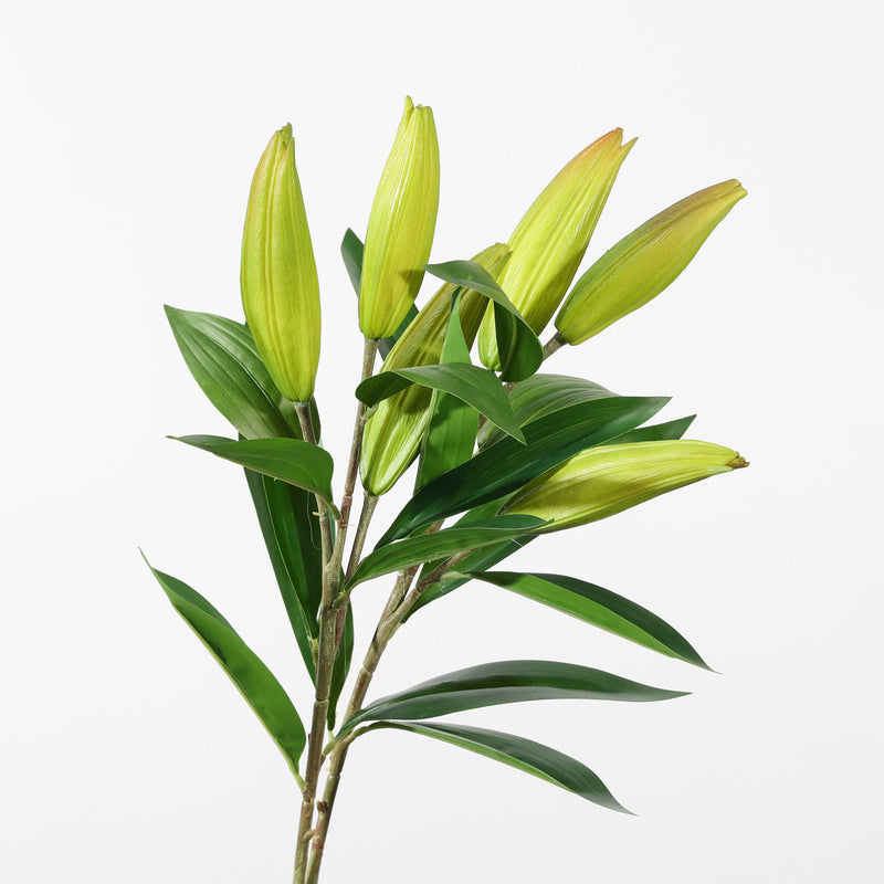 Real Touch Lily Stem, 37-Inch Tall Artificial Flower with 3 Buds, Realistic Faux Lilies for Wedding Bouquets, Tall Vase & Home Decor Arrangements