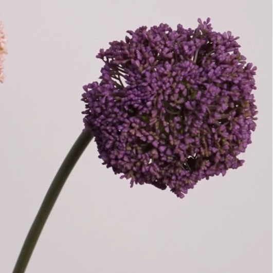 Whimsical Faux Allium Stem, 30" Tall Realistic Ball Flower, Designer Floral for DIY Wedding Centerpieces, Home Decor Vase Arrangements, Event Design