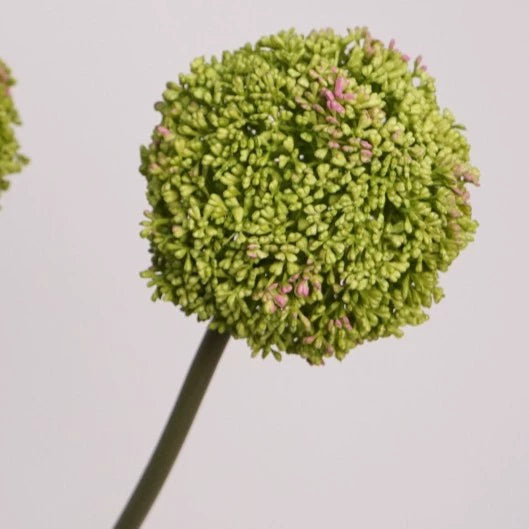Whimsical Faux Allium Stem, 30" Tall Realistic Ball Flower, Designer Floral for DIY Wedding Centerpieces, Home Decor Vase Arrangements, Event Design