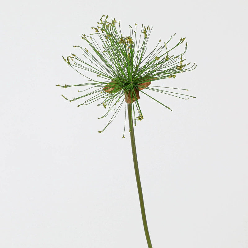 Faux Papyrus Stem, Tall Realistic Allium Grass, 25" or 32" Sculptural Greenery for Vase Filler, Modern Home Decor, DIY Wedding Arrangements