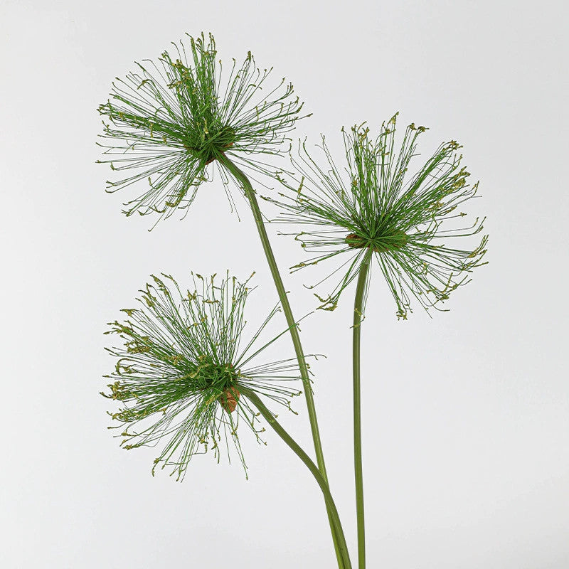 Faux Papyrus Stem, Tall Realistic Allium Grass, 25" or 32" Sculptural Greenery for Vase Filler, Modern Home Decor, DIY Wedding Arrangements